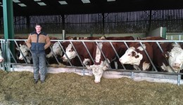 AHDB service helps set up cost infrastructure and maximise profit